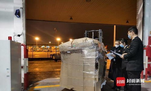 重慶海關2020年成績單 推進放管服改革，貨物進出口時效再壓縮68.32小時和0.39小時